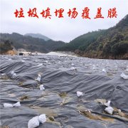 垃圾填埋场封场铺设土工膜的好处
