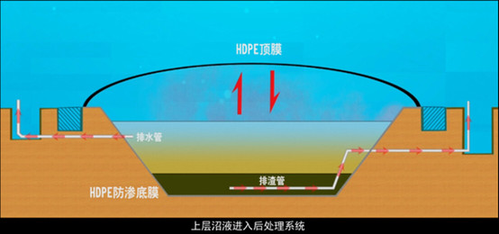 养猪场沼气池